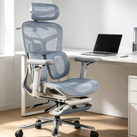 Chaise de bureau ergonomique moderne en maille, best-seller, chaise d'employé, chaise d'étude, pieds en acier, accoudoirs réglables, repose-pieds dissimulé, silencieuse