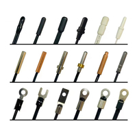 Capteur de température PT100, thermocouple, thermistance NTC, DS18B20, transmetteur de température industriel personnalisé RTD, OEM ODM