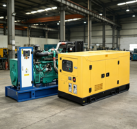 OEM-Anpassung 1000kW Offener Schalldämpfender Stromerzeuger 50kW Container-Typ 250kW Dieselmotor Elektrische Generatoren