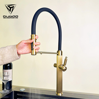 Robinet de cuisine moderne de luxe en or brossé chaud et froid en acier inoxydable avec pulvérisateur extractible et filtre