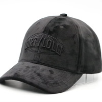 Casquette de baseball sportive brodée en 3D, couleur unie, visière incurvée en velours, casquette six pans style papa