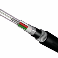 Kabel Serat Optik Berlapis Baja Bergelombang GYTA33/GYTA53 untuk Luar Ruangan G652D/G657A1/G657A2 12/24/48 Core Stranded Conductor