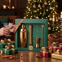 Ensemble de shakers à cocktails en acier inoxydable 550/750 ml avec passoire à glace, coffret de Noël, outils de barman et de cuisine – Vente flash