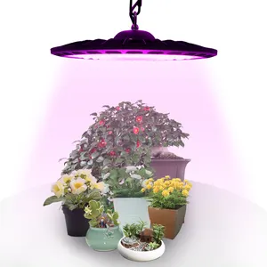 Luz Led para crecimiento de plantas, fuente de jardín hidropónico, horticultura, 100W, 200W