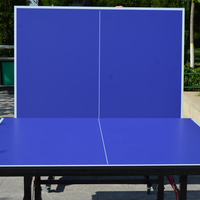 Table de ping-pong professionnelle pliable SMC pour entraînement intérieur/extérieur avec roues – Offre spéciale