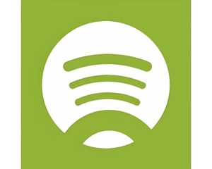 Personalizzazione in Serie di Vari Smartphone, Computer e Tablet per lo Streaming come YouTube o Spotify - Product Image 2