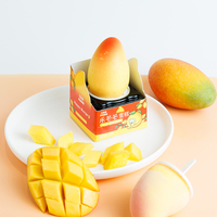 Glace Exotique Saveur Mangue 3 Pièces 0.75 g Glace aux Fruits Chine Bâtonnet Glacé au Chocolat