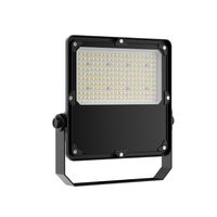 Reflector LED Superbrillante de 100W con Clasificación IP67 y Chips SMD para Uso en Almacenes, Exteriores y Estadios