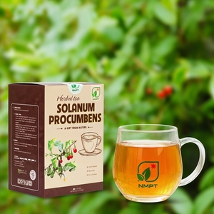 NMPT Brand Solanum Procumbens Herbal <b>Tea</b> Bags Natural Ca Gai Leo <b>Tea</b> 2g Sachet Herbal <b>Infusion</b> for Wholesale Export - Product Image 1