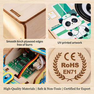 ชุดทดลองวิทยาศาสตร์ฟิสิกส์หุ่นยนต์ STEM ไม้ 4 in 1 ระดับพรีเมียม สำหรับการประมูลของรัฐบาล อุปกรณ์การสอนวิทยาศาสตร์ในห้องเรียนโรงเรียน - Product Image 5