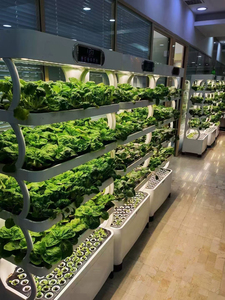 <span class=keywords><strong>Cultivo</strong></span> de agua hidropónico para vegetales, <span class=keywords><strong>armario</strong></span> multicapa inteligente para plantación de vegetales - Product Image 4
