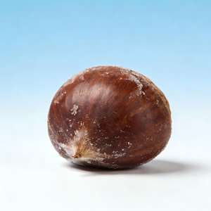 Châtaignes chinoises surgelées, pelées/décortiquées, certifiées biologiques, pour la <span class=keywords><strong>cuisson</strong></span> et la cuisine, approvisionnement en vrac, vente en gros de châtaignes surgelées - Product Image 1