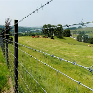 Venta caliente Bwg 16 5kg 10kg 20kg 25kg por rollo Valla de alambre de púas galvanizada por inmersión en caliente - Product Image 6