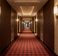 Duvardan Duvara Otel Halısı Naylon Otel Koridoru Orta Havlı Evcil Hayvan Dostu Axminster 5 Yıldızlı Oteller Elit Sınıf Döşeme Seyahat Ev