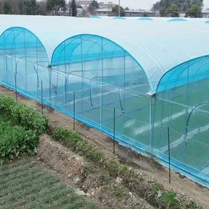 Economical Custom Design Automatic Shading System Multi-span Greenhouses For Plastic Greenhouse