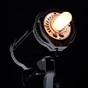 HoneyFly <span class=keywords><strong>JDD</strong></span> Photographie Lampe 100W 150W 250W 220V Dimmable <span class=keywords><strong>E27</strong></span> Clair Halogène Lampe Quartz Tube Studio Ampoule Éclairage - Product Image 5