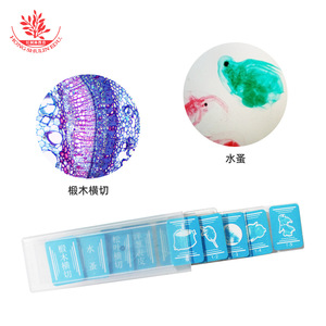 Los niños observan muestras bajo un microscopio: cinco diapositivas coloridas de madera de tilo, cebolla, mosquitos acuáticos, agujas de pino y - Product Image 4