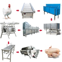 Halal Nhỏ Gia Cầm Giết Mổ Nhà Sản Xuất Gà Giết Mổ Thiết Bị Máy Giết Mổ Gà Nhà Máy Để Bán