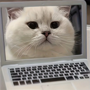 Petit écran réfléchissant de <span class=keywords><strong>jouet</strong></span> pour animaux de compagnie interactif de miroir de <span class=keywords><strong>chat</strong></span> de résine portative durable aucune batterie requise fournissant intellectuel - Product Image 4