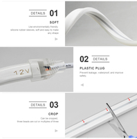 Bande lumineuse LED Tuya Smart Life 120LEDs/M, tube flexible, lampe à corde, DC12V SMD 2835, contrôle WIFI et USB, fonctionne avec Alexa et Google Home