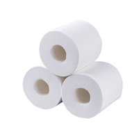 Fournisseur en gros de papier toilette en rouleau jetable de qualité supérieure, économique, doux, écologique, en pâte de bois vierge, 2 à 5 plis, en vrac