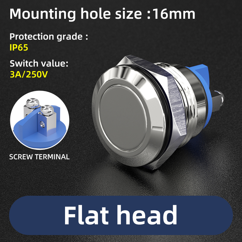 16MM 3A/250V Flat head Screws terminal