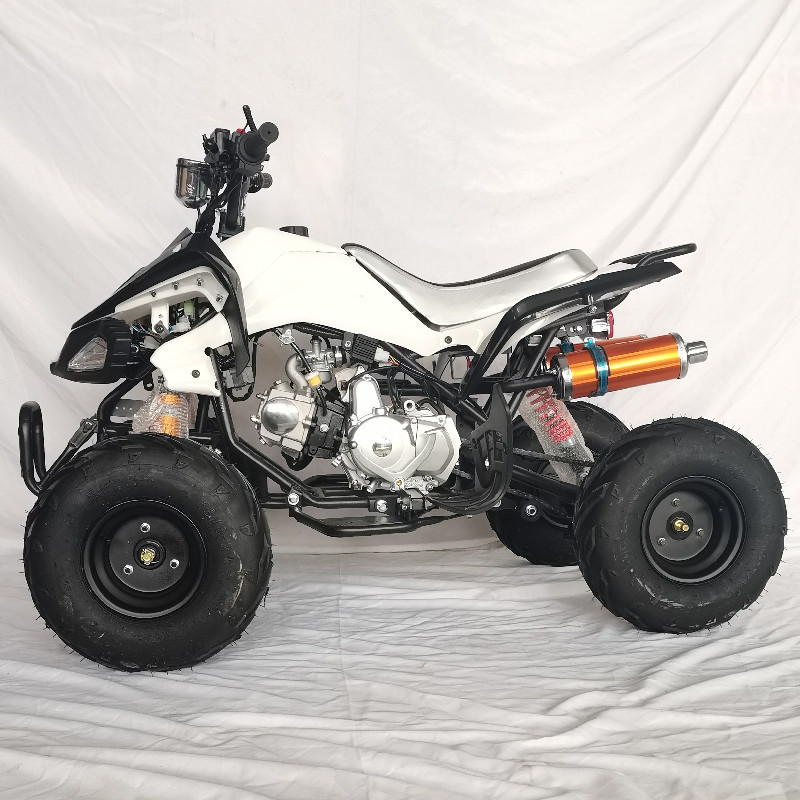 Gasoline Power Dirt Bike ATV Snow Plow Quad 4 Wheeler For Adults