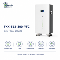Batterie LiFePO4 15,36 kWh 51,2 V 300 Ah avec affichage LED intelligent, 6000 cycles, parallélisable, compatible avec Sofar, Pylontech, GoodWe, INVT