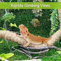 Vigne grimpante flexible en fibre de coco pour reptiles, décoration pour terrarium de dragon barbu, caméléon, serpent, gecko, lézard