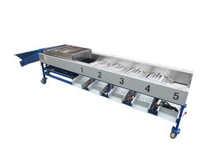 Máquina Clasificadora de Pomelos y Dátiles de Fácil Operación, Nueva, Proveedor de Máquinas Clasificadoras de Cebollas - Product Image 2