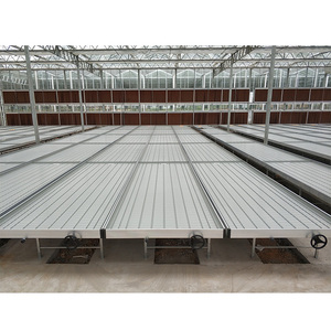 Banco Idroponico Commerciale a Rotelle di Grandi Dimensioni con Doppio Strato di Film PE per Agricoltura e Coltivazione di Piante - Product Image 4