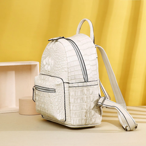 Bolsos de Diseñador de Marcas Famosas para Mujer, Nuevo Diseño con Relieve de Cocodrilo, Grande, Impermeable, Cierre de Cremallera, Silicona - Product Image 4