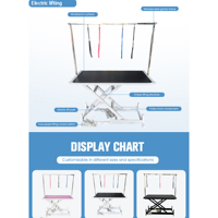 Table de toilettage électrique pour animaux de compagnie en acier inoxydable, robuste, haute capacité de charge, hauteur réglable, plateau antidérapant, avec bras