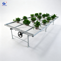 Banc roulant antirouille pour serre avec structure en acier, table de culture en treillis métallique durable pour l'agriculture à grande échelle