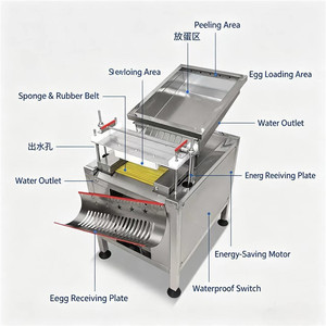 Stainless Steel Automatic Desheller <b>Machine</b> For <b>Boiled</b> Quail <b>Egg</b> Industrial Quail <b>Egg</b> Shell Removing Equipment - Product Image 3