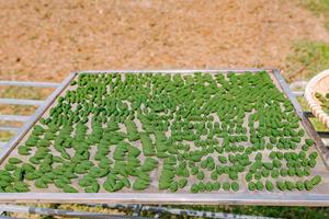 Conos de Incienso de Eucalipto Orgánico Ecológicos, Conos de Aromaterapia Hechos a Mano, Incienso de Larga Duración con Aroma Natural - Product Image 3