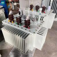 Transformateur immergé dans l'huile spécial parc industriel 6,6 kV 150/200/315 kVA triphasé à bobinage en cuivre de type puissance