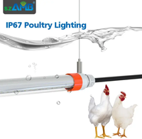Tube T8 étanche IP67, 4 pieds, 24W, sans scintillement, gradation 0-100%, éclairage pour volailles, 130lm/W, garantie 5 ans