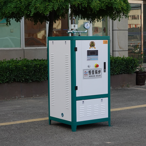 Electric <strong>Steam</strong> <strong>Generator</strong> - <strong>Steam</strong>-driven Electric <strong>Generator</strong> / Low-pressure <strong>Steam</strong> <strong>Generator</strong> for the Iron and Textile Industries - Product Image 4