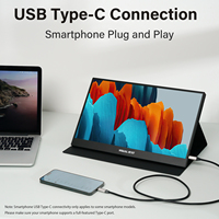 15,6 Zoll FHD 1920*1080 Tragbarer Monitor USB-C IPS-LCD Gaming-Monitor für Laptops
