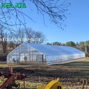 Single-span Agricultural Arch Greenhouse Vegetable Cultivation Greenhouse Plastic Cover Material