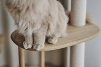 Arbre à chat architectural sur mesure YOUME en chêne massif avec marches texturées, Kratzbaum pour marques de luxe pour animaux de compagnie