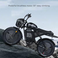 Vélo de montagne électrique haut de gamme tout-terrain avec pneus larges, batterie au lithium 48V, cadre en acier, freins à disque avant et arrière, pour l'extérieur
