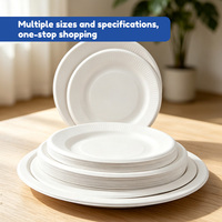 Assiette Ronde Jetable en Pulpe de Canne à Sucre Biodégradable, Vaisselle de Qualité Alimentaire pour Pique-nique, Fête, Barbecue, Dessert, Vente en Gros