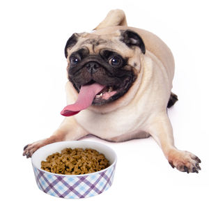 2024 yeni sıcak satıcı toptan yüksek kalite kolay temizlik ucuz dayanıklı sevimli Pet besleyici melamin köpek maması kasesi - Product Image 2