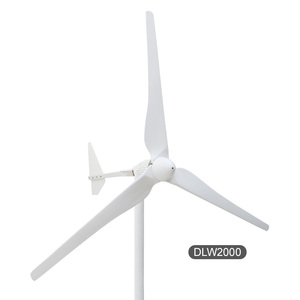 Generador Eólico de 12V 24V para Uso Doméstico y Comercial, Energía Renovable, Generador Eólico de 300W DLW1000, Generador Eólico de 24V DLW1000 - Product Image 4