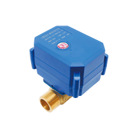 Vanne à boisseau sphérique motorisée électrique en laiton 2 voies 12V 24V 220V, commande automatique mini, DN8 DN15 DN20 DN25 DN32
