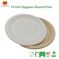 Assiette jetable en bagasse sans PFAS, 260 mm (10 pouces), compostable, robuste, pour fêtes, steaks, barbecues et traiteurs