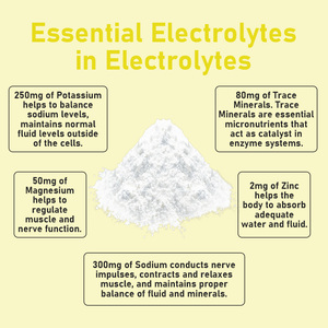 Best Quality OEM Electrolyte Powder Dietary <b>Supplement</b> Bacillus Subtillis Soluble Vegetable Fiber Supports Muscle Growth Energy - Product Image 6