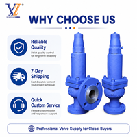 Válvula DE SEGURIDAD DE alivio profesional 1,4404/WCB DIN EN DN50x80 Venta-Válvula de alivio de presión de caldera de vapor Directo de fábrica